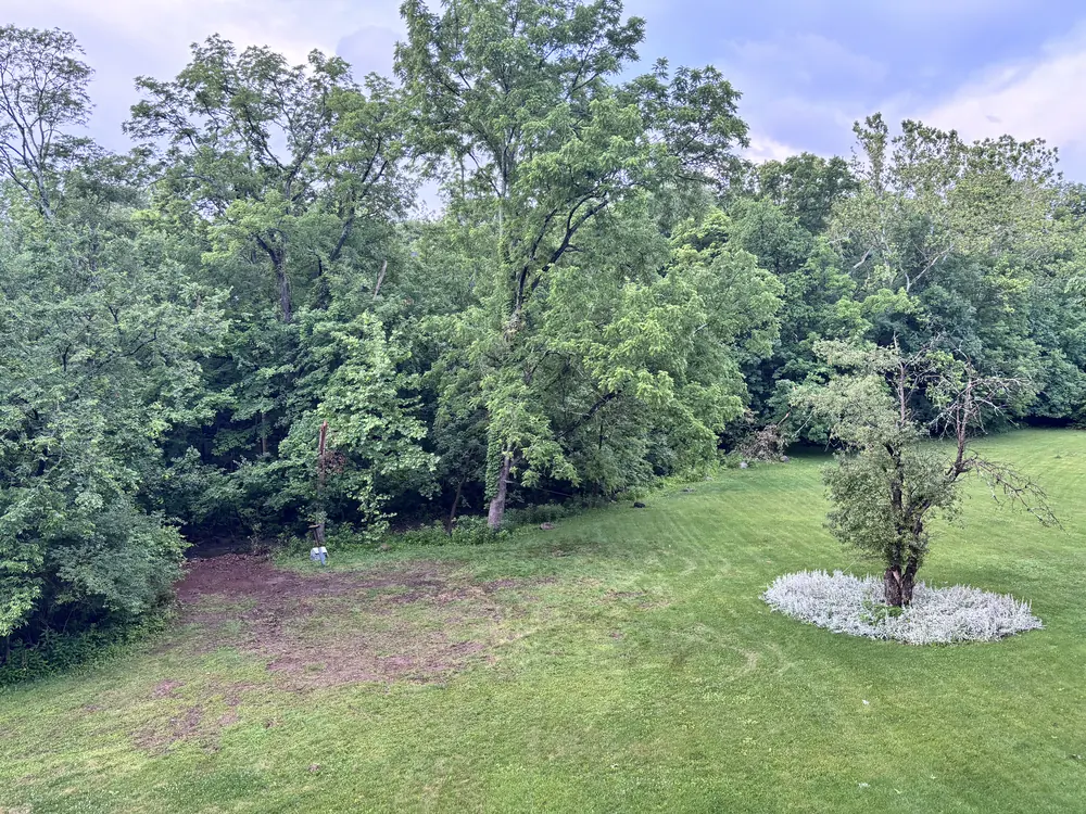 The same lawn cleared, with no trace of the fallen oak