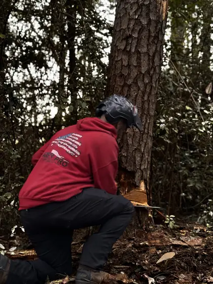 Crew member cutting a downed trunk in a wooded lot