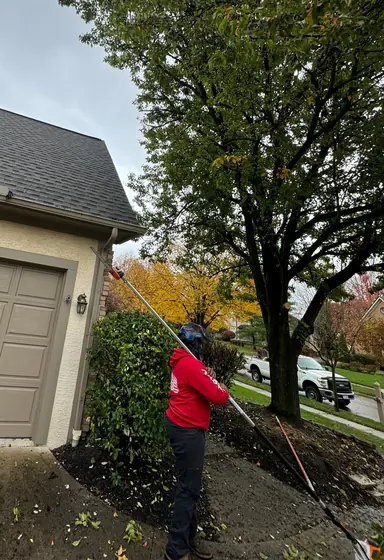 Technician using a pole saw to clear limbs beside a house