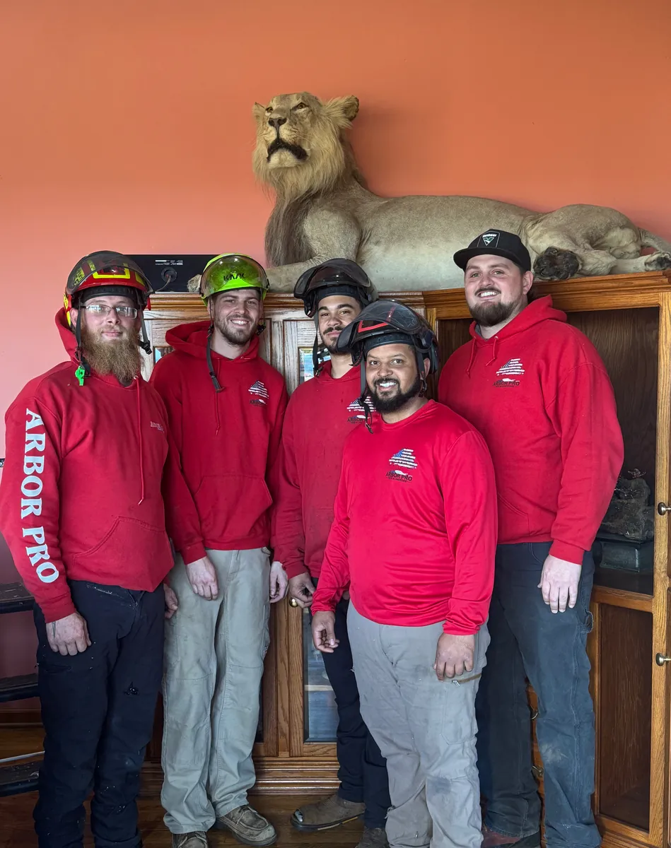 The Arbor Pro crew in branded red hoodies and climbing helmets